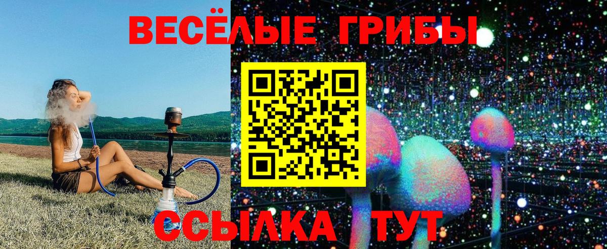 Псилоцибиновые грибы мухоморы  цена   Чусовой  Вход с VPN  Псилоцибиновые грибы прущие грибы 